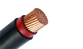 Single Core XLPE Insulated, PVC Sheathed Unarmoured Cable, 0.6/1kV