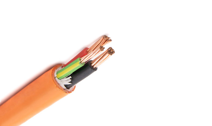 XLPE Insulated, PVC Sheathed 2 cores+E Unarmored Cable, 0.6/1kV