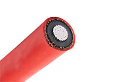 N2XSY Na2XSY N2XS2Y Na2XS2Y N2XS (F) 2Y Na2XS (F) 2Y N2XS (FL) 2Y Na2XS (FL) 2Y Single Core Cable Cable