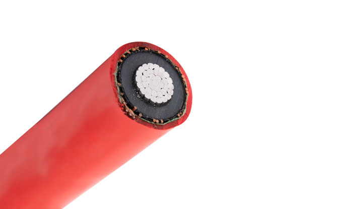 N2XSY Na2XSY N2XS2Y Na2XS2Y N2XS (F) 2Y Na2XS (F) 2Y N2XS (FL) 2Y Na2XS (FL) 2Y Single Core Cable Cable