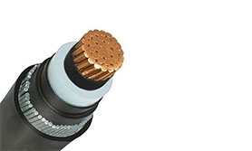 Single Core Cable to BS 6622/BS 7835