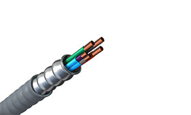 Instrumentation Cable Type P-OS/SP-OS Type MC-HL Cable/600V