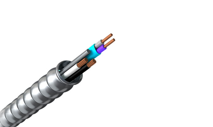 Low Voltage Power Multi-Conductor Cable